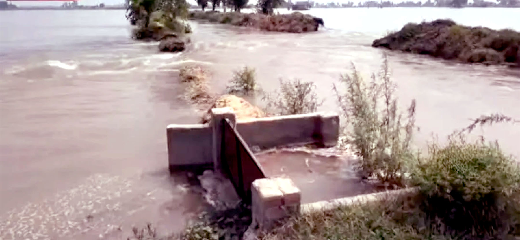 Paddy and other crops damaged due to breach in canal.